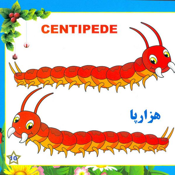 شناخت خزندگان
